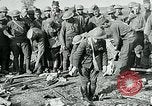 Image of Grave of Lt Quentin Roosevelt France, 1918, second 25 stock footage video 65675026372
