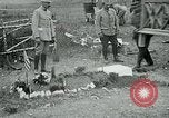 Standbild Grab von Lieutenant Quentin Roosevelt Frankreich, 1918, aus Sekunde 30 historischem Filmmaterial Videoclip 65675026373