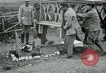 Standbild Grab von Lieutenant Quentin Roosevelt Frankreich, 1918, aus Sekunde 33 historischem Filmmaterial Videoclip 65675026373