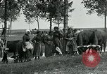 Standbild Aisne Betrieb zivilen Flüchtlingen Ersten Weltkrieg Montmirail Frankreich, 1918, aus Sekunde 61 historischem Filmmaterial Videoclip 65675026376