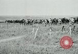 Standbild Aisne Marne Betrieb Missy-Aux-Bois Frankreich, 1918, aus Sekunde 38 historischem Filmmaterial Videoclip 65675026389