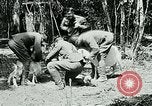 Image of Aisne Marne Operation France, 1918, second 6 stock footage video 65675026398