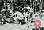 Image of Aisne Marne Operation France, 1918, second 7 stock footage video 65675026398