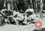 Image of Aisne Marne Operation France, 1918, second 8 stock footage video 65675026398