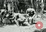 Image of Aisne Marne Operation France, 1918, second 12 stock footage video 65675026398