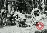 Image of Aisne Marne Operation France, 1918, second 13 stock footage video 65675026398