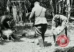 Image of Aisne Marne Operation France, 1918, second 16 stock footage video 65675026398
