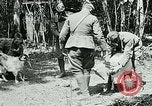 Image of Aisne Marne Operation France, 1918, second 18 stock footage video 65675026398