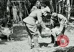 Image of Aisne Marne Operation France, 1918, second 19 stock footage video 65675026398