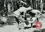 Image of Aisne Marne Operation France, 1918, second 20 stock footage video 65675026398