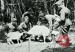 Image of Aisne Marne Operation France, 1918, second 21 stock footage video 65675026398