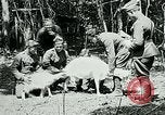 Image of Aisne Marne Operation France, 1918, second 22 stock footage video 65675026398