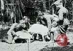 Image of Aisne Marne Operation France, 1918, second 24 stock footage video 65675026398