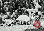Image of Aisne Marne Operation France, 1918, second 25 stock footage video 65675026398