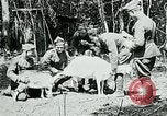 Image of Aisne Marne Operation France, 1918, second 26 stock footage video 65675026398