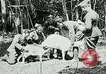 Image of Aisne Marne Operation France, 1918, second 27 stock footage video 65675026398