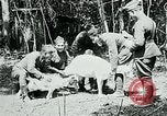 Image of Aisne Marne Operation France, 1918, second 29 stock footage video 65675026398