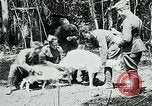 Image of Aisne Marne Operation France, 1918, second 30 stock footage video 65675026398