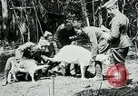 Image of Aisne Marne Operation France, 1918, second 31 stock footage video 65675026398