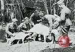 Image of Aisne Marne Operation France, 1918, second 33 stock footage video 65675026398