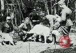 Image of Aisne Marne Operation France, 1918, second 34 stock footage video 65675026398