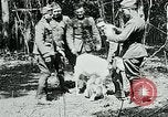 Image of Aisne Marne Operation France, 1918, second 36 stock footage video 65675026398