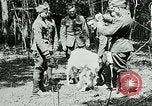 Image of Aisne Marne Operation France, 1918, second 39 stock footage video 65675026398