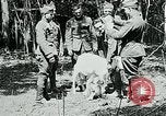 Image of Aisne Marne Operation France, 1918, second 40 stock footage video 65675026398