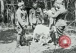 Image of Aisne Marne Operation France, 1918, second 41 stock footage video 65675026398