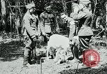 Image of Aisne Marne Operation France, 1918, second 42 stock footage video 65675026398