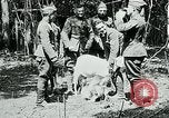 Image of Aisne Marne Operation France, 1918, second 44 stock footage video 65675026398
