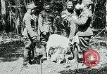 Image of Aisne Marne Operation France, 1918, second 45 stock footage video 65675026398