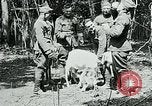 Image of Aisne Marne Operation France, 1918, second 47 stock footage video 65675026398
