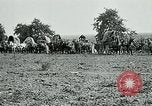 Image of Aisne Marne Operation France, 1918, second 8 stock footage video 65675026399