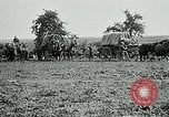 Image of Aisne Marne Operation France, 1918, second 21 stock footage video 65675026399