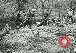 Image of Aisne Marne Operation France, 1918, second 41 stock footage video 65675026399