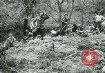 Image of Aisne Marne Operation France, 1918, second 42 stock footage video 65675026399