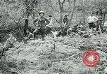 Image of Aisne Marne Operation France, 1918, second 45 stock footage video 65675026399