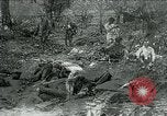 Image of AEF 7th Field Artillery France, 1918, second 1 stock footage video 65675026404