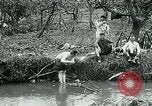 Image of AEF 7th Field Artillery France, 1918, second 8 stock footage video 65675026404
