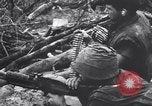 Image of Operation Cedar Falls Vietnam, 1967, second 30 stock footage video 65675026412