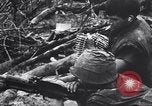 Image of Operation Cedar Falls Vietnam, 1967, second 33 stock footage video 65675026412