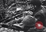 Image of Operation Cedar Falls Vietnam, 1967, second 34 stock footage video 65675026412