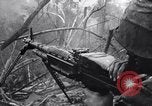 Image of Operation Cedar Falls Vietnam, 1967, second 35 stock footage video 65675026412