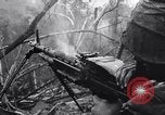 Image of Operation Cedar Falls Vietnam, 1967, second 36 stock footage video 65675026412