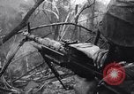 Image of Operation Cedar Falls Vietnam, 1967, second 37 stock footage video 65675026412