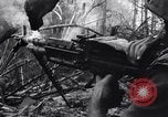 Image of Operation Cedar Falls Vietnam, 1967, second 41 stock footage video 65675026412