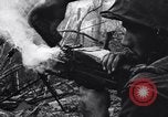 Image of Operation Cedar Falls Vietnam, 1967, second 44 stock footage video 65675026412