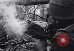 Image of Operation Cedar Falls Vietnam, 1967, second 45 stock footage video 65675026412