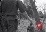 Image of Operation Cedar Falls Vietnam, 1967, second 51 stock footage video 65675026412